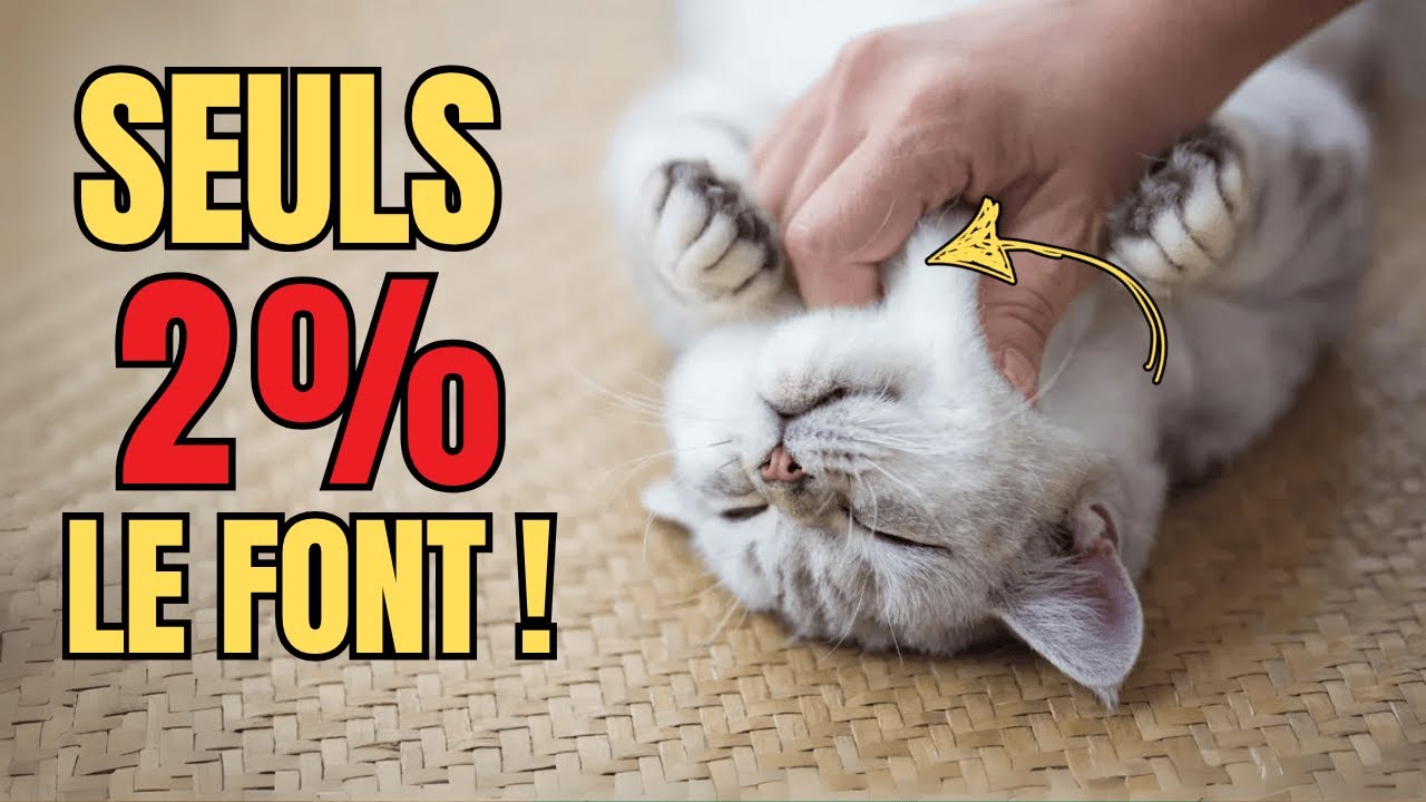 10 Choses Que Les CHATS ADORENT et que 98 % des Propriétaires IGNORENT ! 🐱