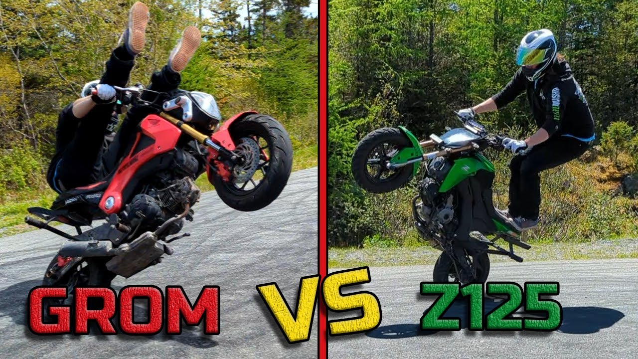 GROM or Z125 ? Best STARTER stunt bike for wheelies ? This is our UNBIASED mini bike review