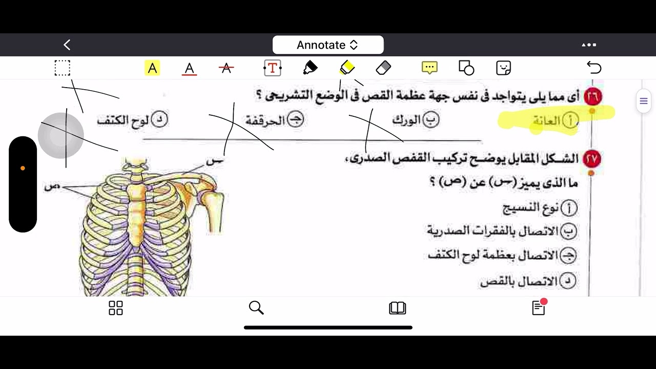 حل اسئلة كتاب الامتحان أحياء 3ث 2026 الدرس الأول ( الهيكل المحوري) د.عبدالله الصاوي