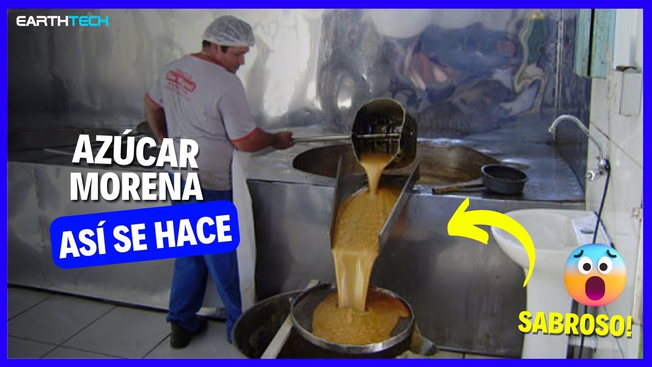 Así se hace el AZÚCAR MORENA | Desde la caña hasta tu mesa