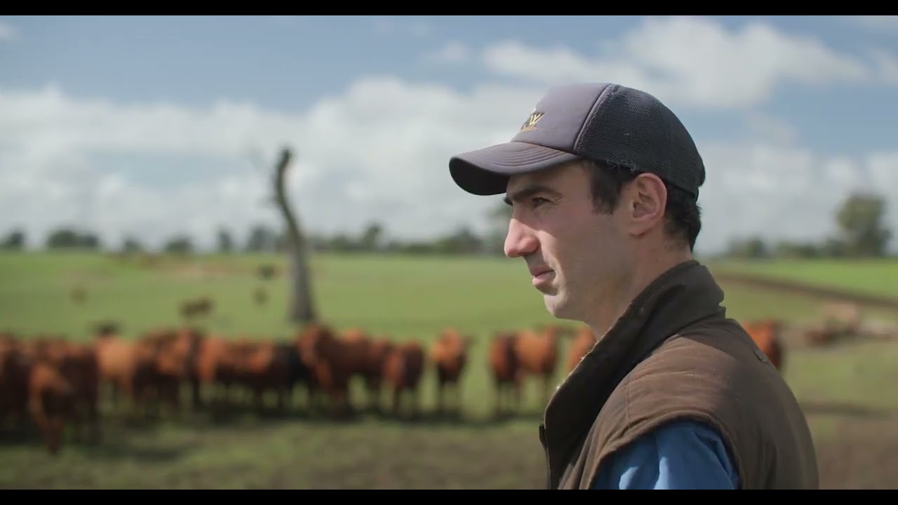 Best Practice animal health is so important: Simon Close. VIC Beef producer