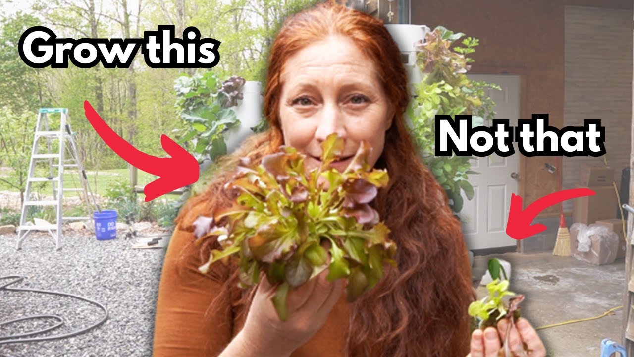 The number one mistake when growing on a Tower Garden: How to grow huge plants quickly.