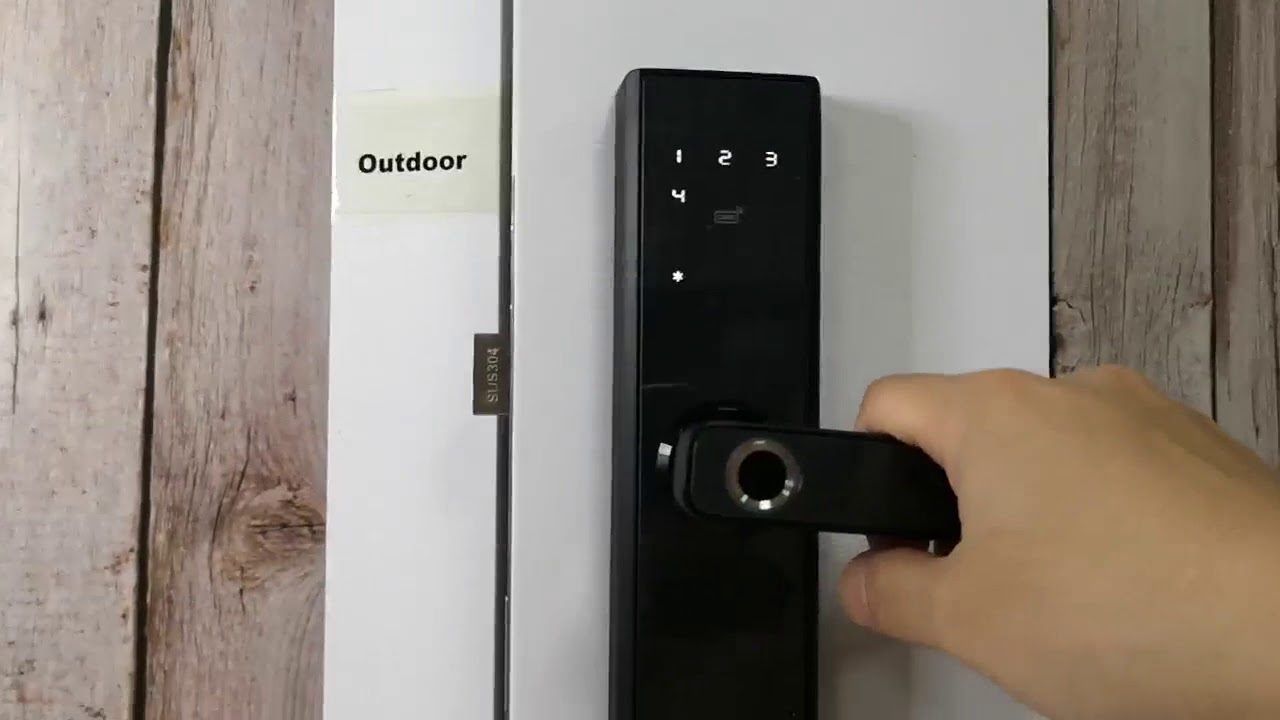 RAYKUBE Smart Lock R-FG5 Program video