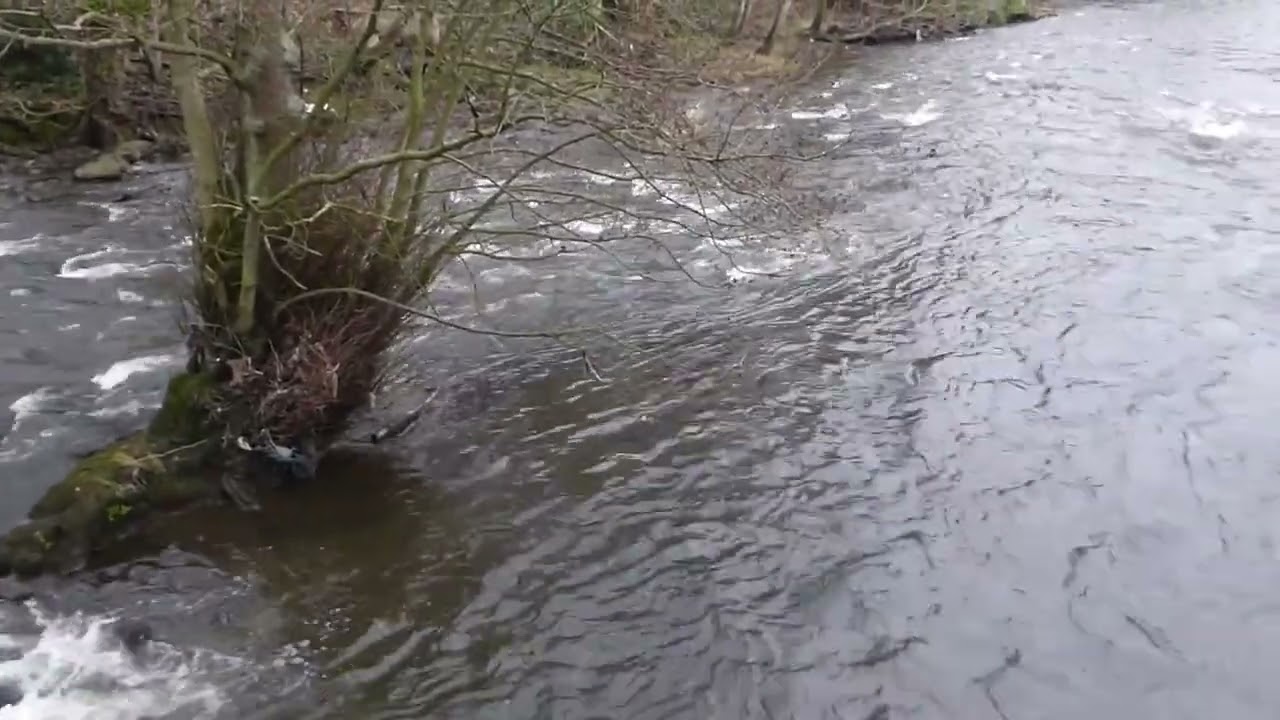 Relaxing Running Water Sounds