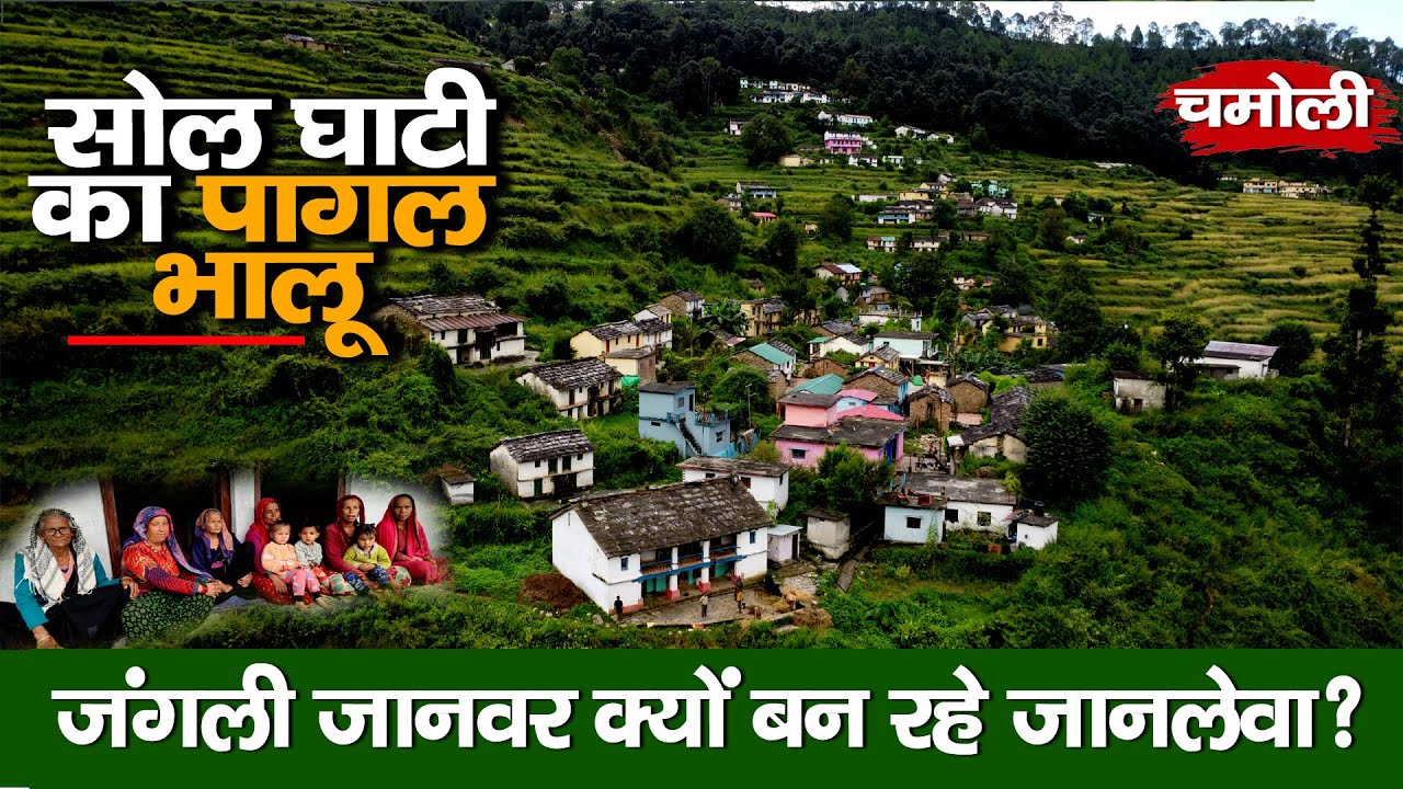 Chamoli Villages Under Fear | सोल घाटी के खूनी भालू की कहानी | Shocking Ground Report | Rural tales