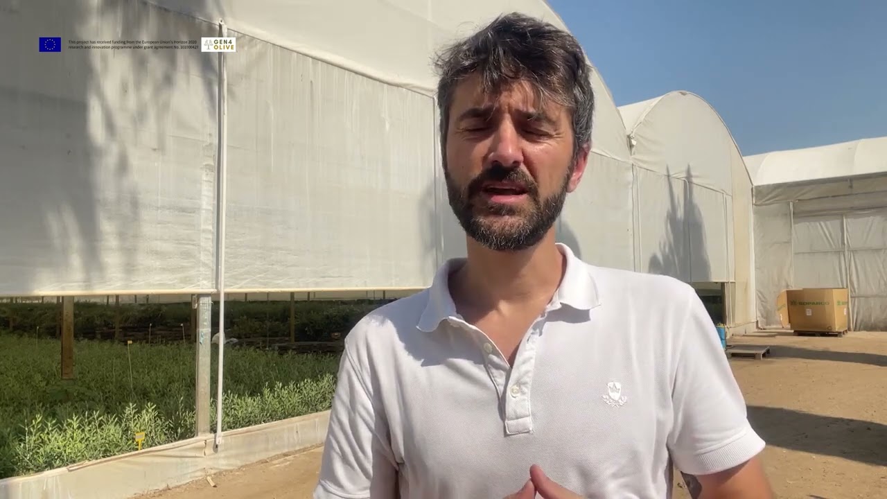 GEN4OLIVE & OLIVE 4.0