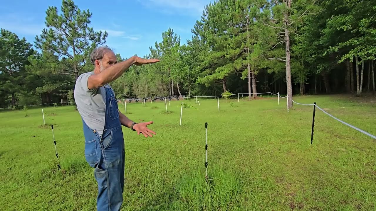 TOUR Our Fruit ORCHARDS - Electroculture??? Does it Work?