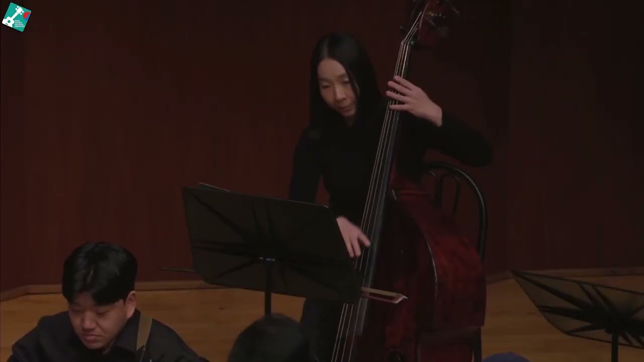 Eine Kleine Nachtmusik  K525 - Allegro
