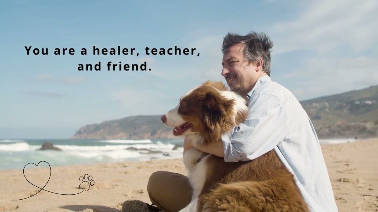 Affirmations to Honor Our Beloved pets