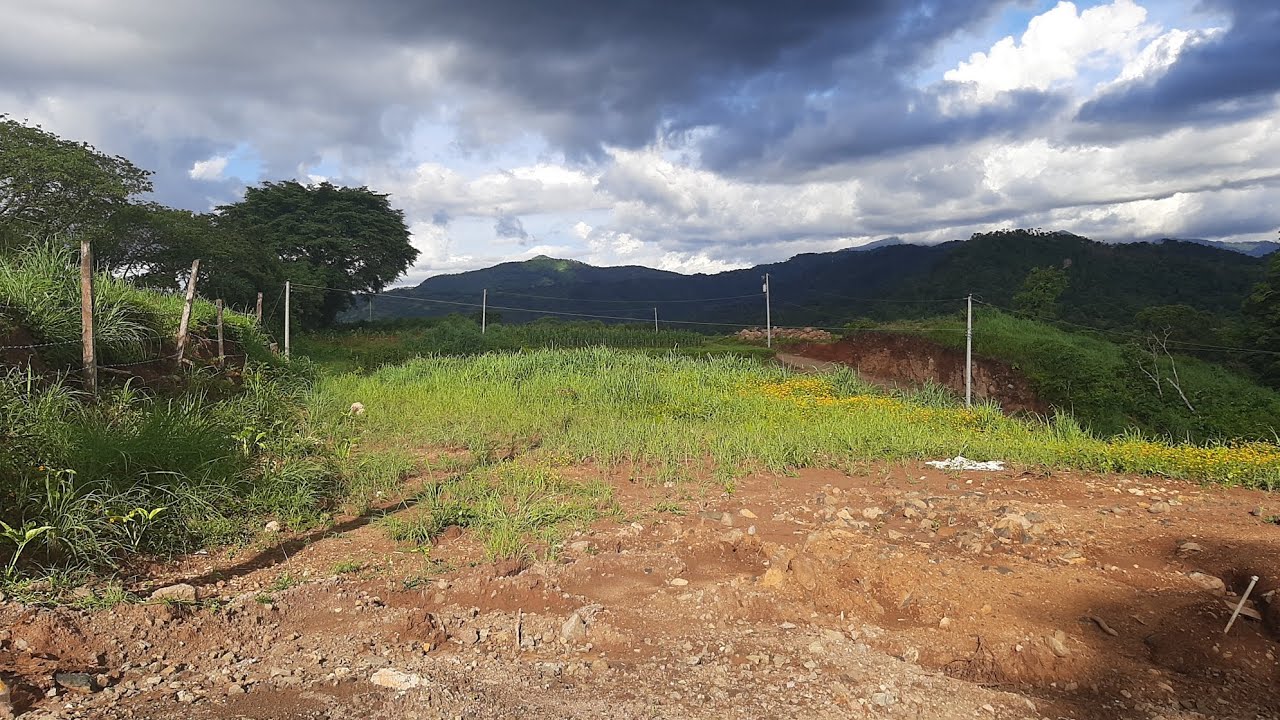 El coquero Mostrando una Lotificacion en San Luis de la Reina más información puede llamar 7262-0533