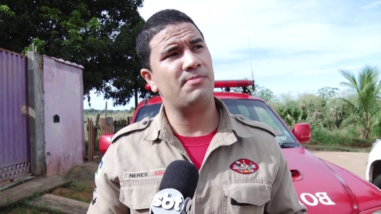 Jibóia encontrada em um poste de energia | Giro Cidade