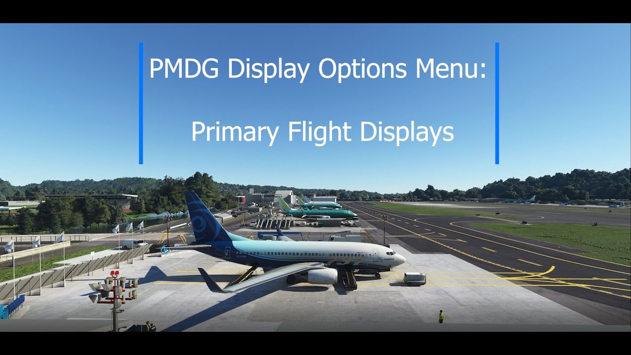 PMDG 737 for MSFS 006: Display Options - Primary Flight Displays