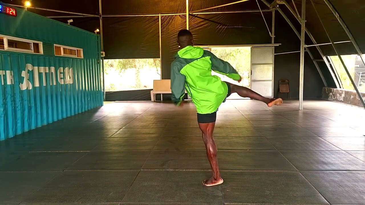 Roundhouse Kick for beginners 