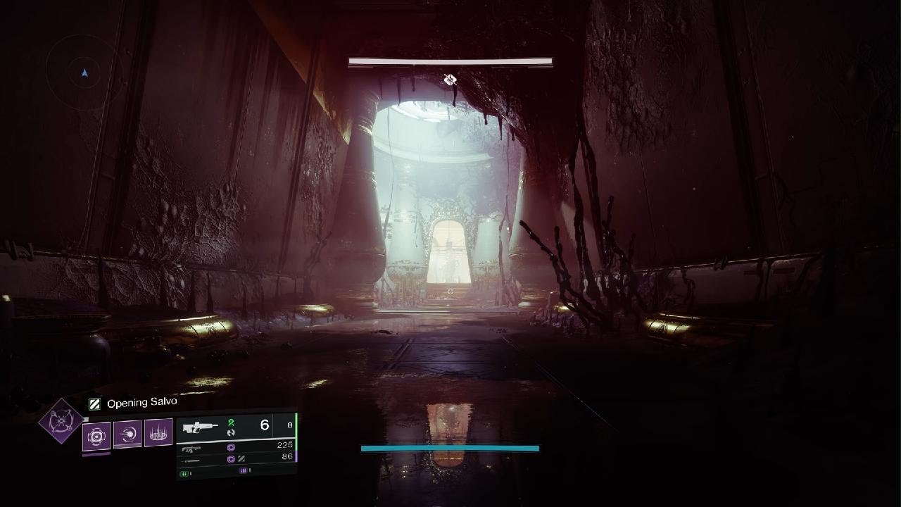 Solo Flawless Duality - Renegades (Void Warlock)