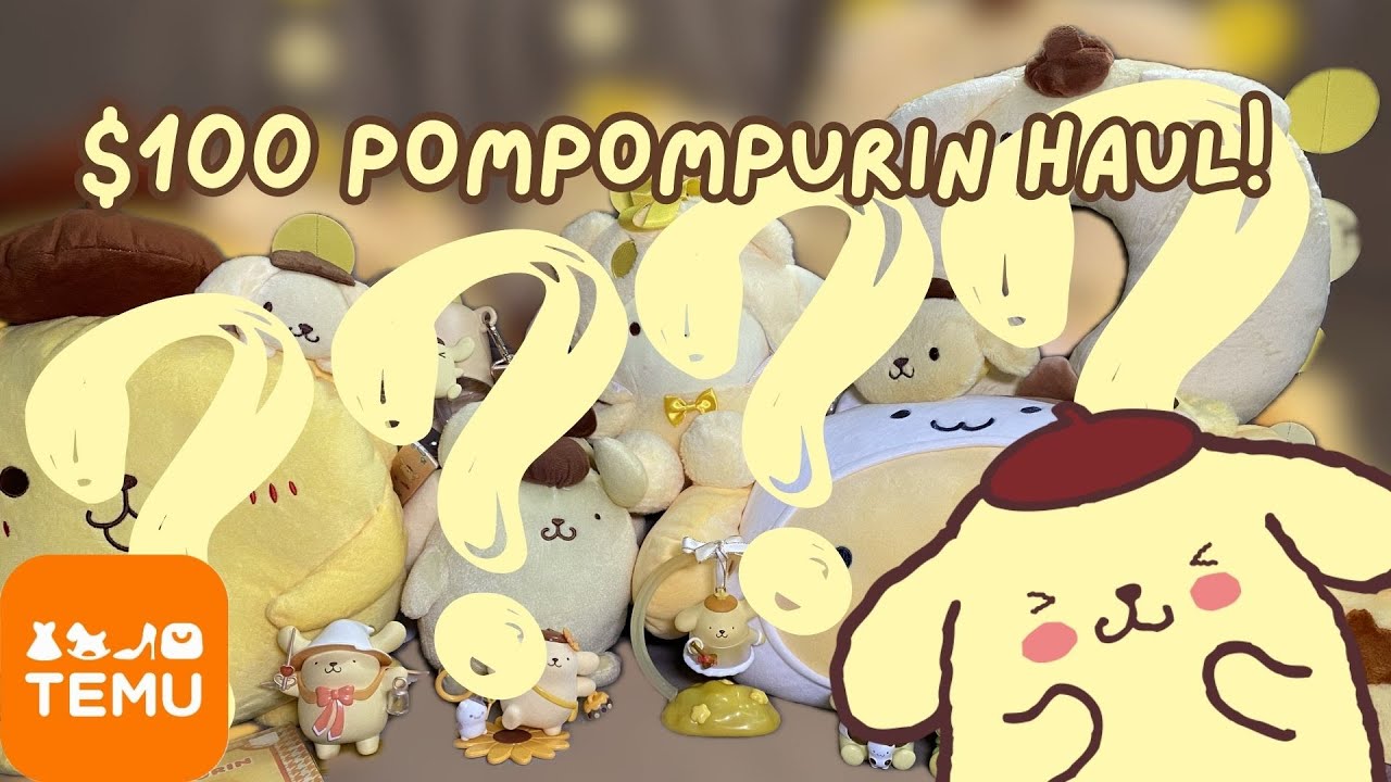 $100+ POMPOMPURIN HAUL | TEMU ✨TOO CUTE✨