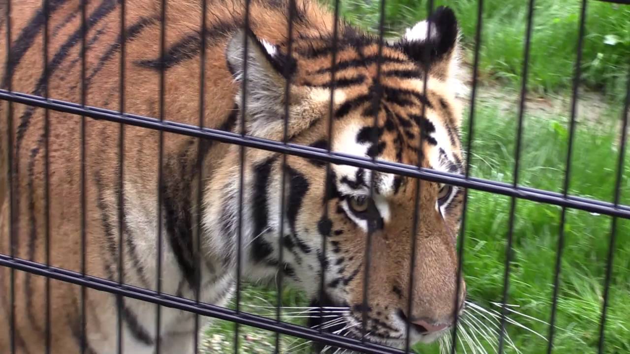 Tierpark Stadt Haag