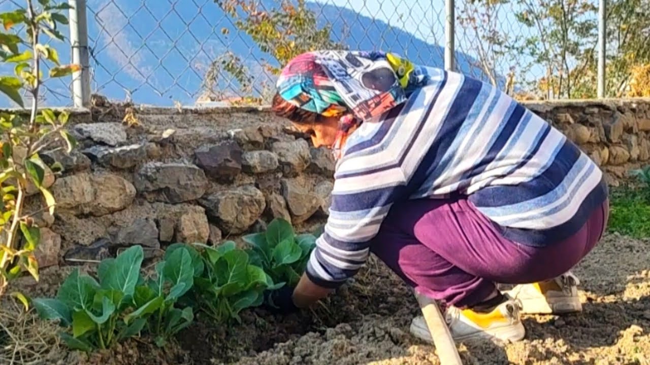 A Calm Village Day | Watering Plants & Slow Living 🌱🪴