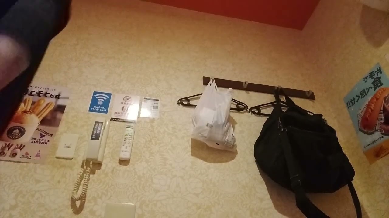 プラスティック・ラブ (竹内まりや) を唄っています