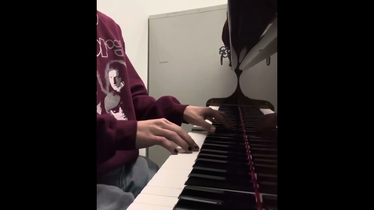 Bleached by Video days cover