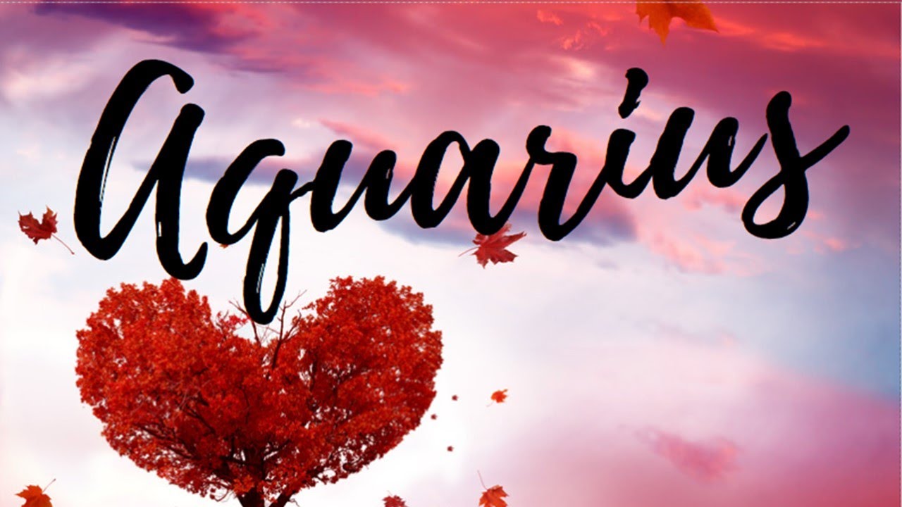 Aquarius💘YOU MAY HAVE OTHER OPTIONS BUT THIS PERSON IS GOING TO FIGHT FOR YOU WITH ALL THEY HAVE!💪🏻