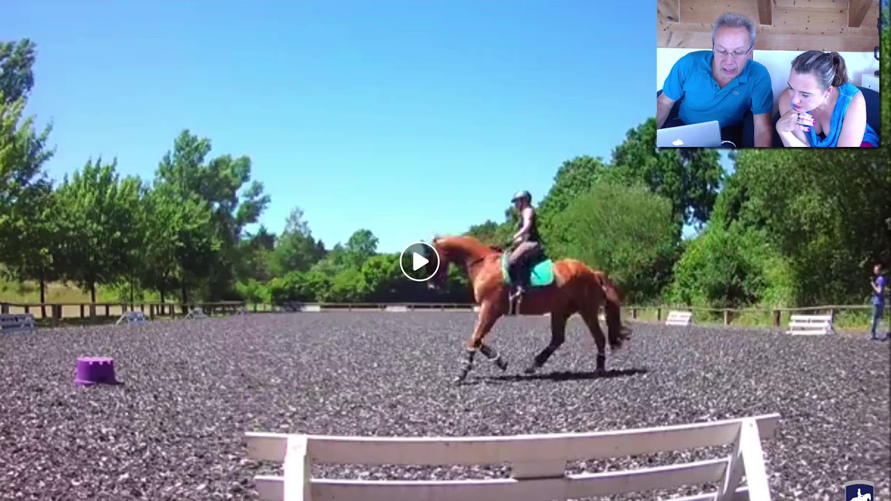 Geteilte Diagonale im Galopp