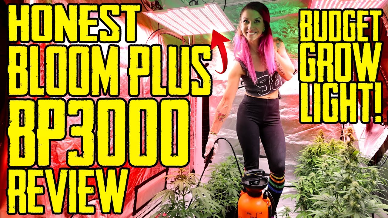 Honest Bloom Plus BP3000 Review 2021