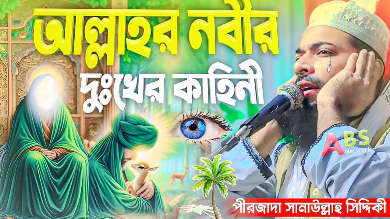 আল্লাহর নবীর দুঃখের কাহিনী। পীরজাদা সানাউল্লাহ সিদ্দিকী ওয়াজ। Pirzada Sanaullah Siddiqui Jalsa