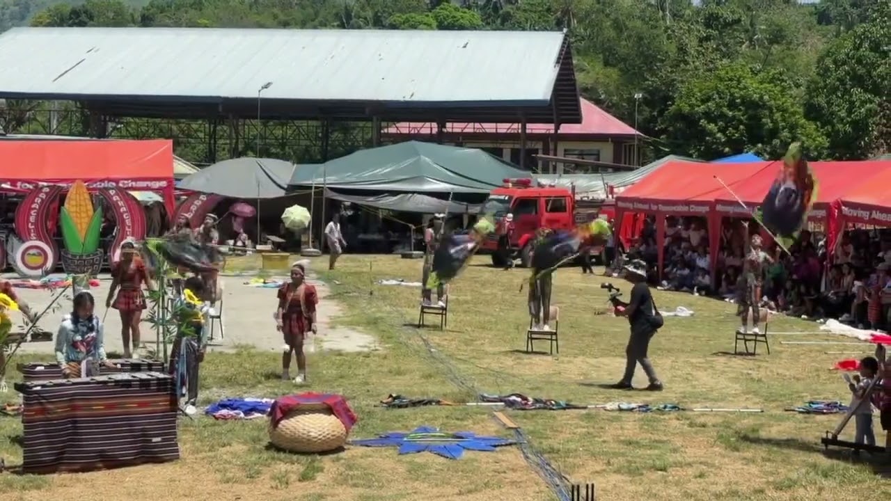 Kakarefin Festival: Serapio Gawan National High School Drum and Lyre | Champion