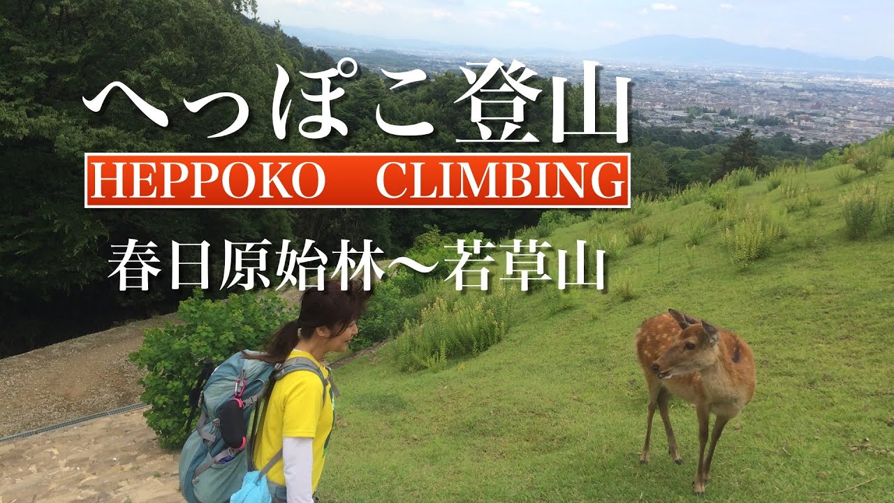 へっぽこ登山　春日山原始林〜若草山（柳生街道）（奈良県）