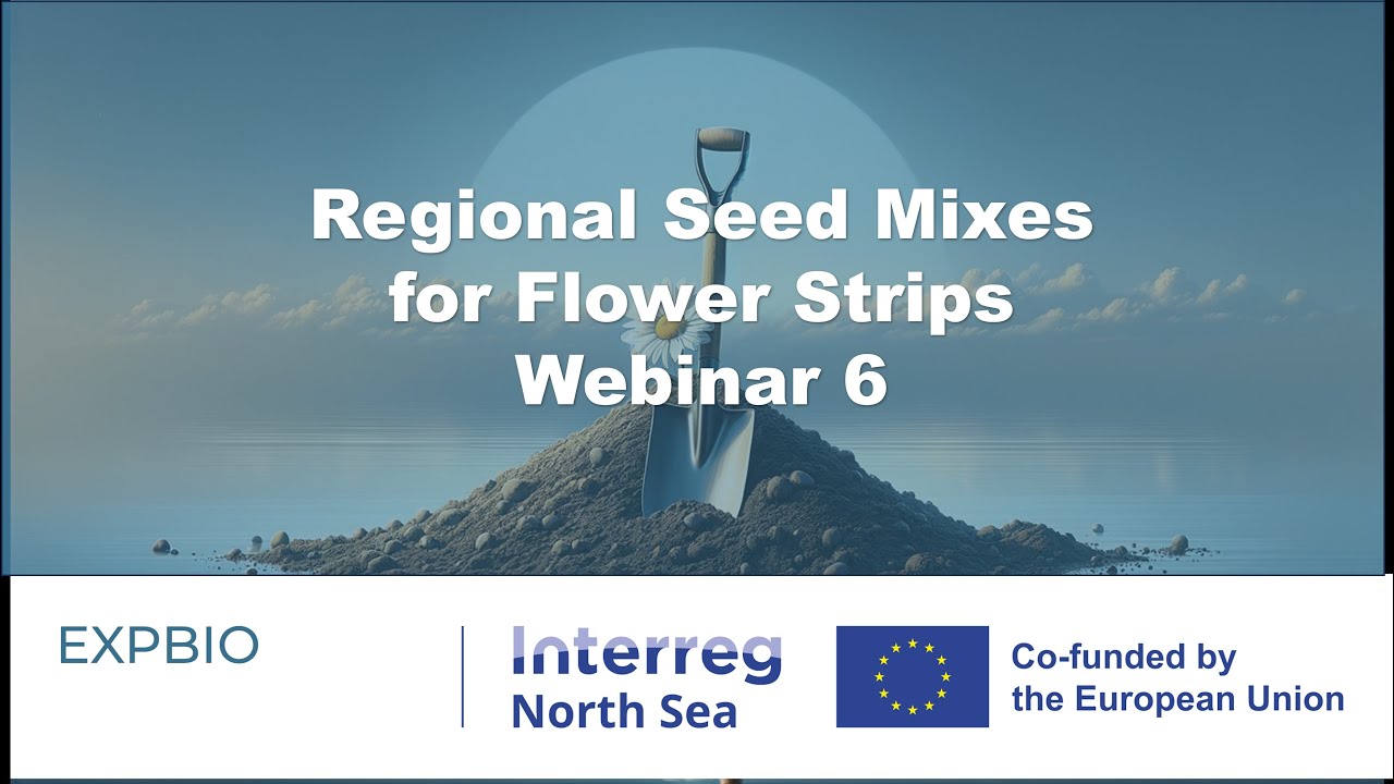 Webinar 6, Malte Conrady, University of Münster, Germany