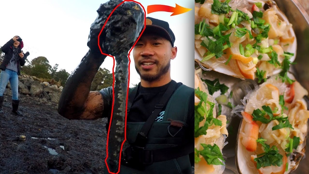 How to Catch and Cook HUGE Horseneck Clams (NO TOOLS) - Steamed with Soy Sauce on a Noodle Bed