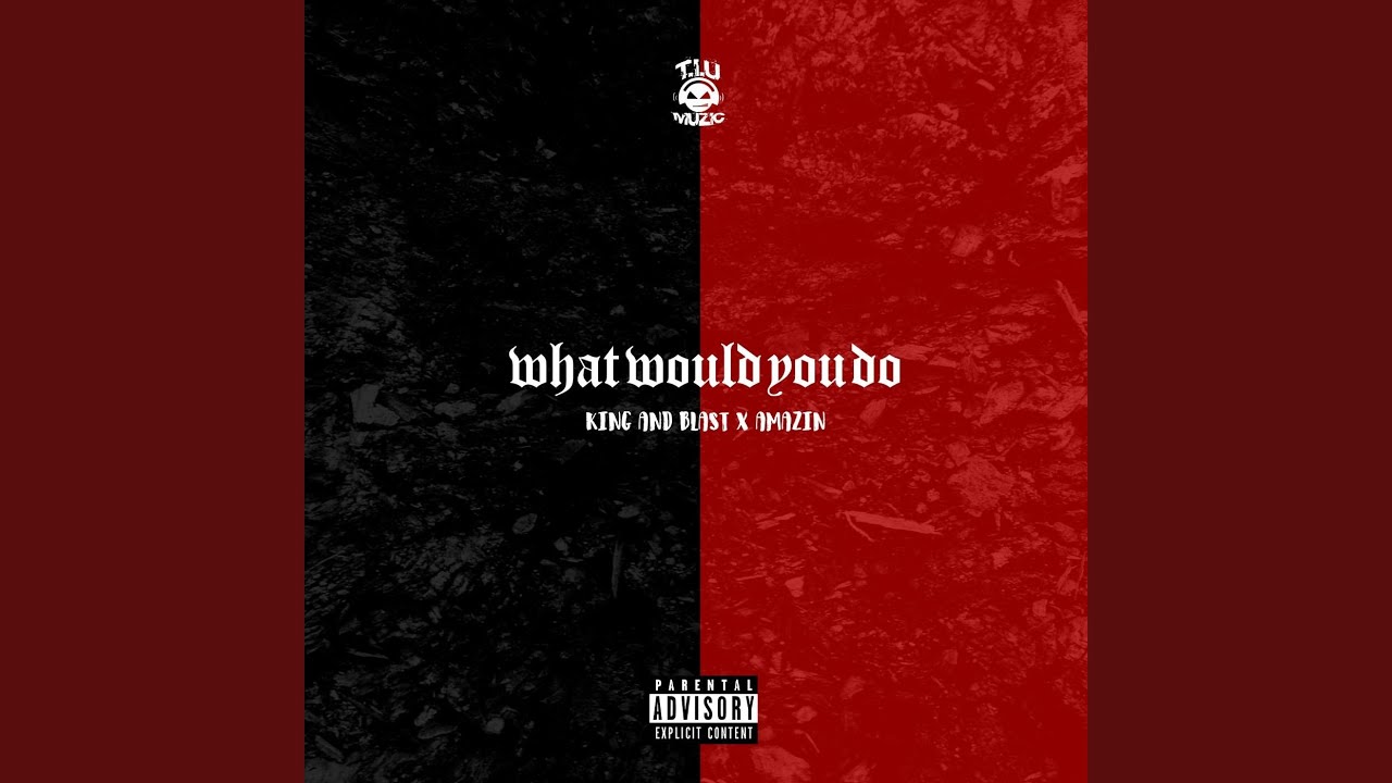 What Would You Do (feat. Amazin)