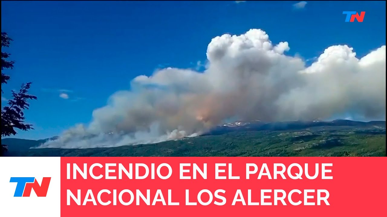 Se incendia el Parque Nacional Los Alerces en medio de las altas temperaturas en la Patagonia