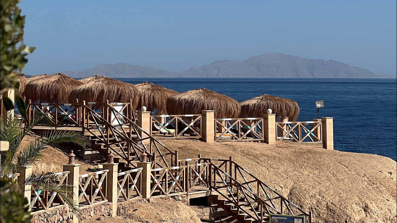 Египет в январе|Обзор на Safir Sharm Waterfalls Resort|Подводный мир Красного моря