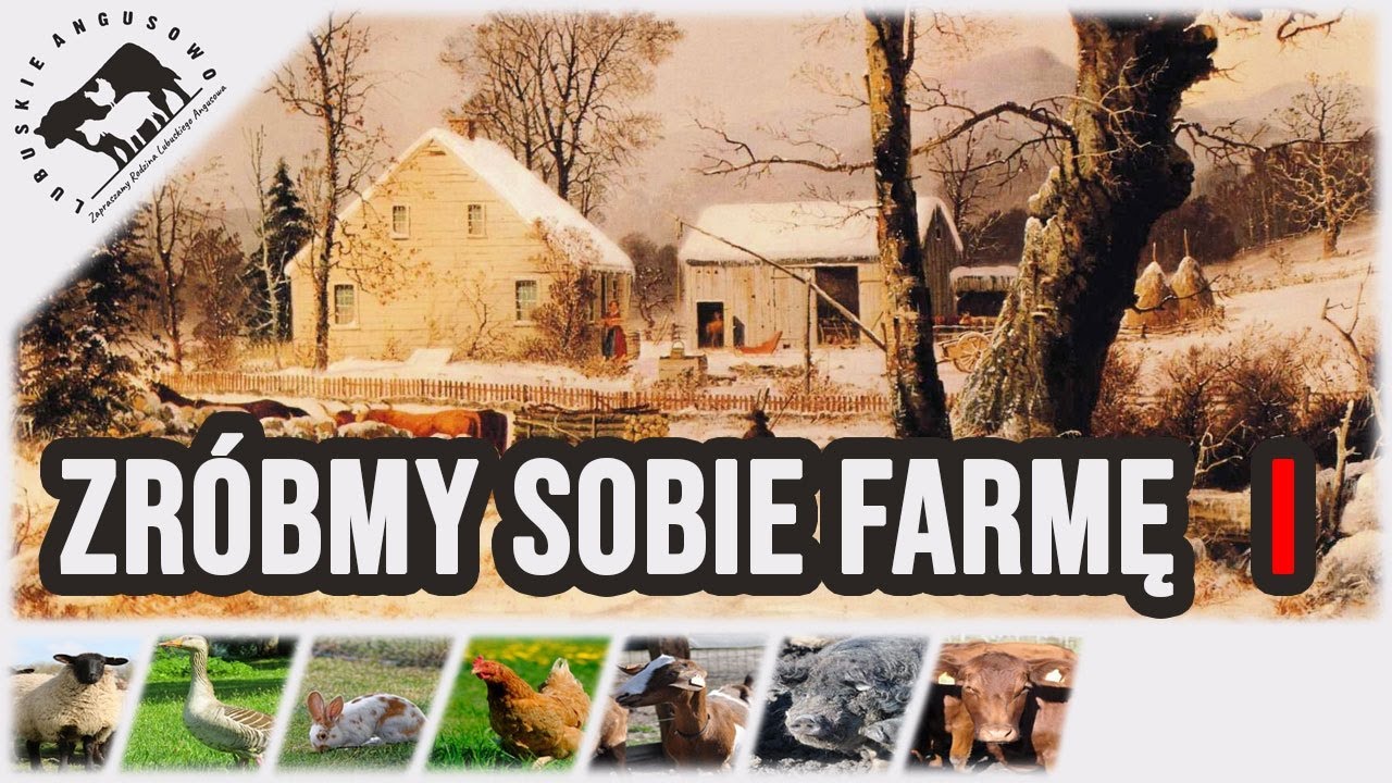 Lubuskie Angusowo - Zr&oacute;bmy sobie farmę - początek