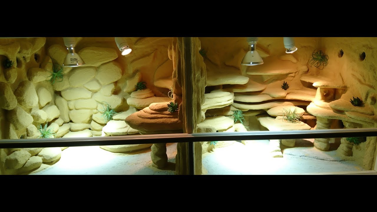 Terrarium selber bauen