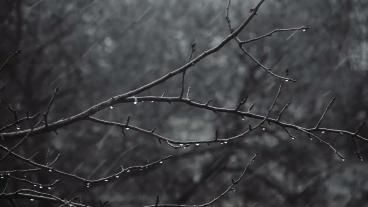 Pleasant music for your relaxation and sleep.