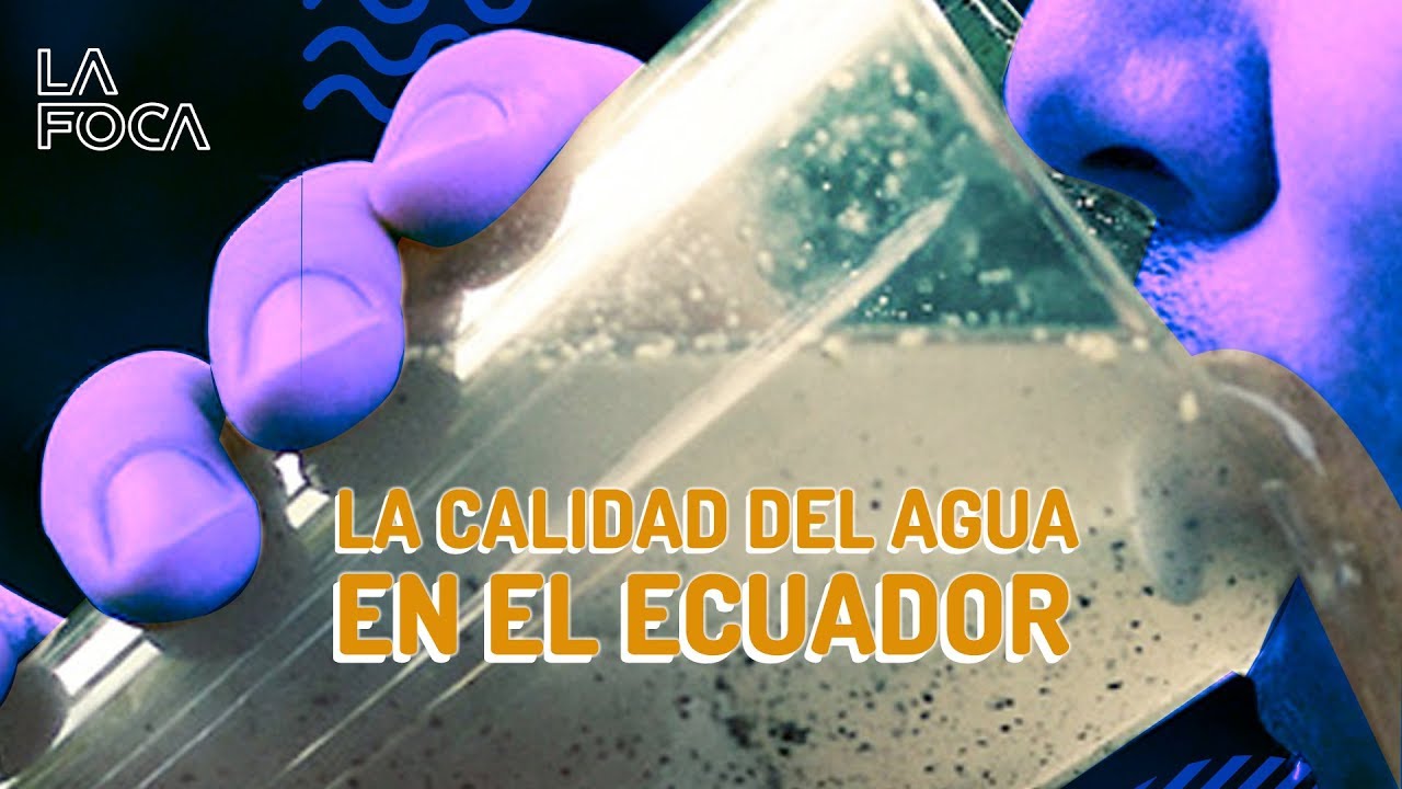 La calidad del agua en el Ecuador