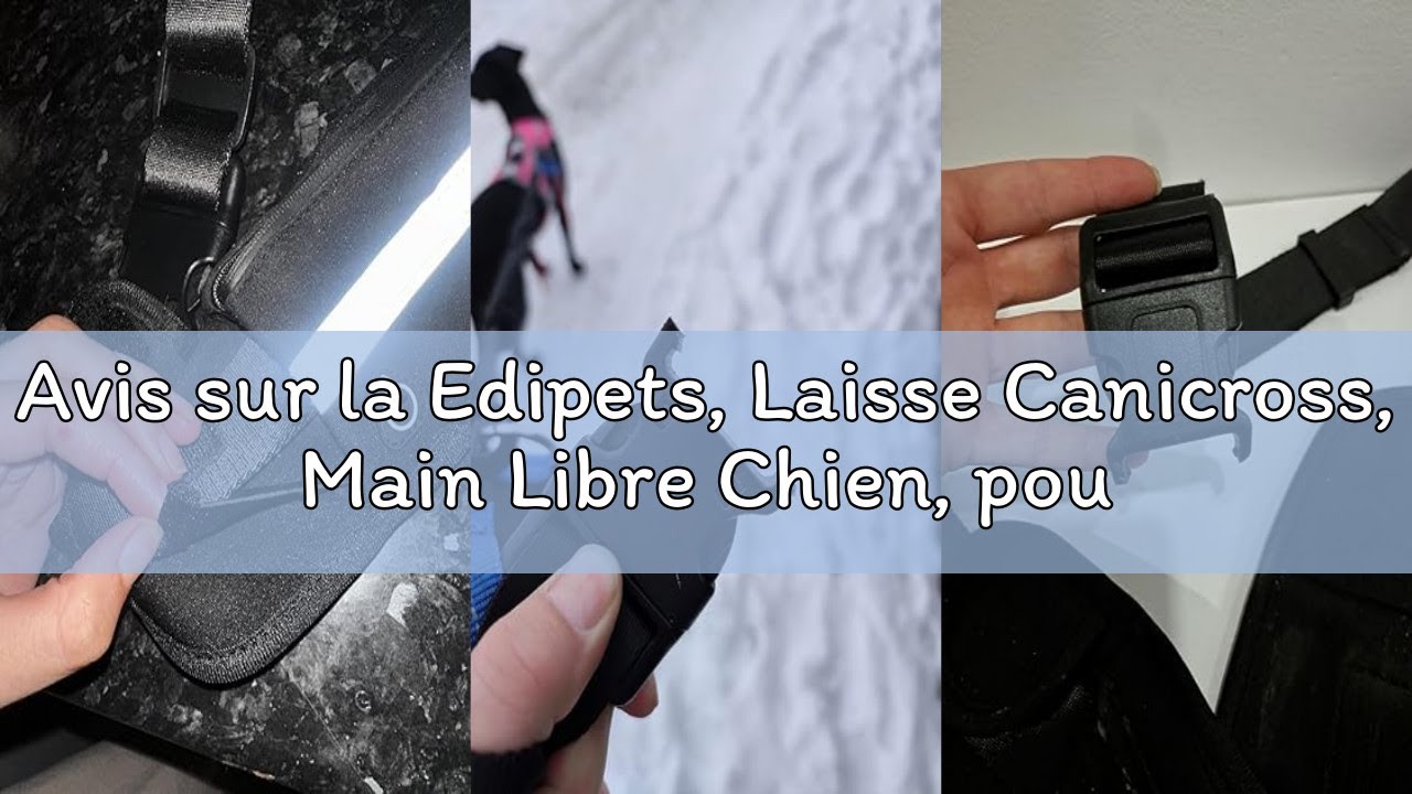 Avis sur la Edipets, Laisse Canicross, Main Libre Chien, pour Ceinture, Running, Anti-tirons, réfléc