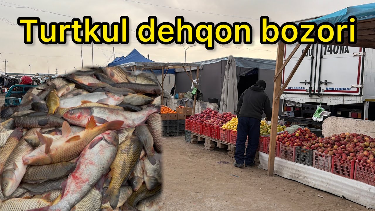 Turtkul dehqon bozori 24-fevral, 2026