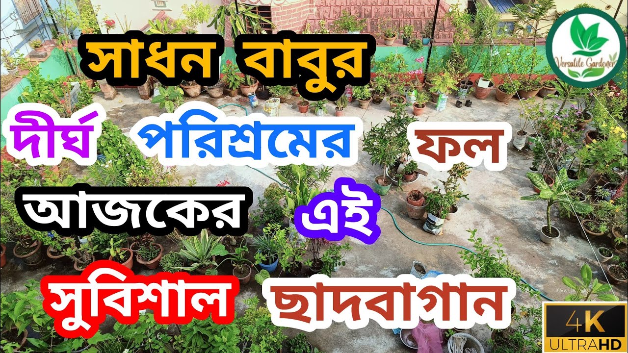 কয়েক বছরের পরিশ্রমের ফল আজকের এই  ছাদবাগান!! বাঁকুড়া শহরের ছাদবাগান /Rooftop Garden Visit