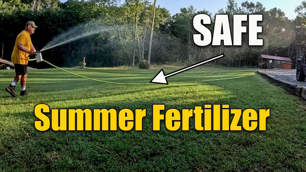 Safe Summer Lawn Fertilizer