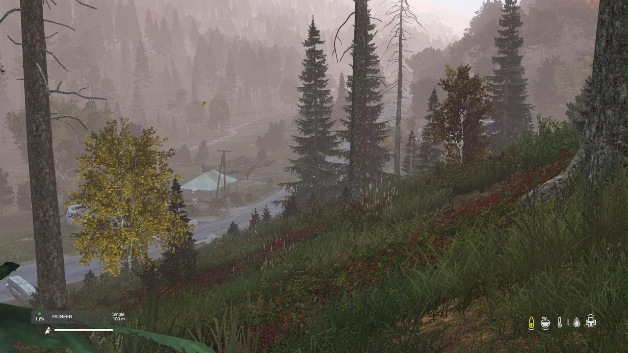 DayZ_20260226235054