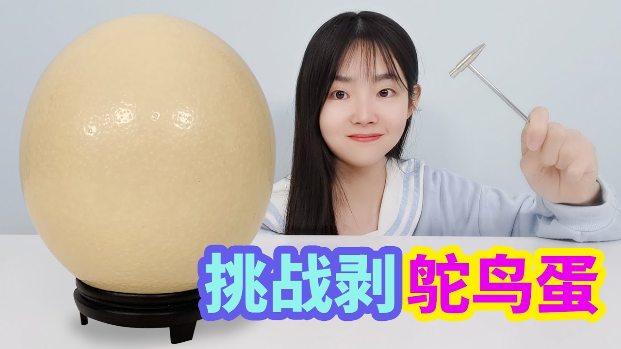 挑戰剝巨無霸鴕鳥蛋，一顆相當於30個雞蛋，最後能不能成功？ 【妙藝手工】