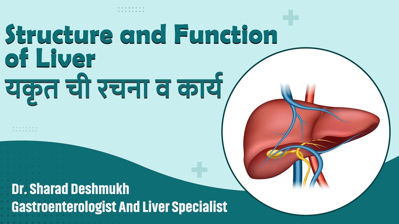 यकृत ची रचना व कार्य | Structure & Function of Liver | Dr. Sharad Deshmukh