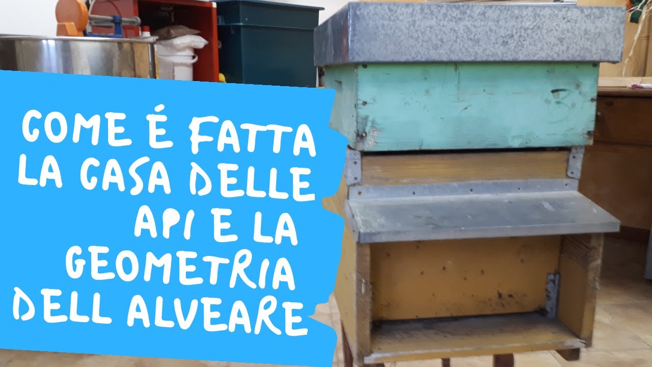 Come è fatta la casa delle api e la geometria dell'alveare | Mielisa