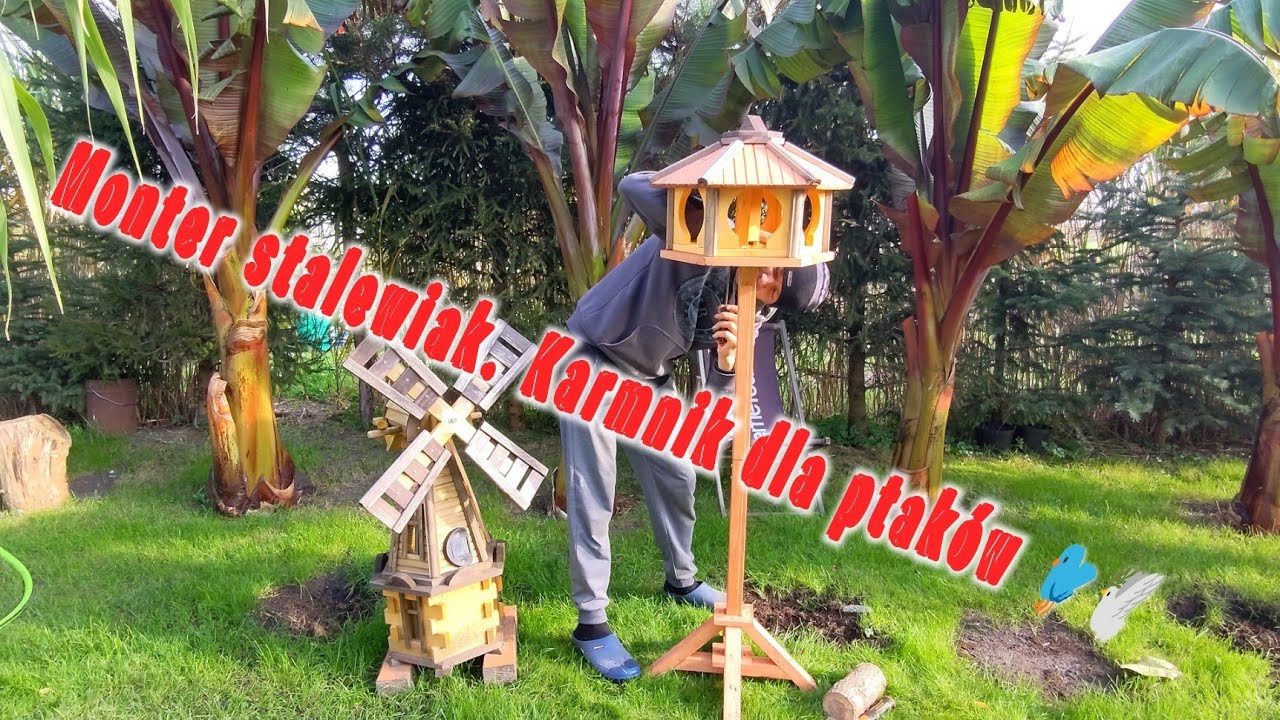 Karmnik dla ptaków 🐦🕊️. Nowe możliwości filmowania -🐤. Paczka 🎁📦 Pozdrawiam, miłego dnia. 🌱