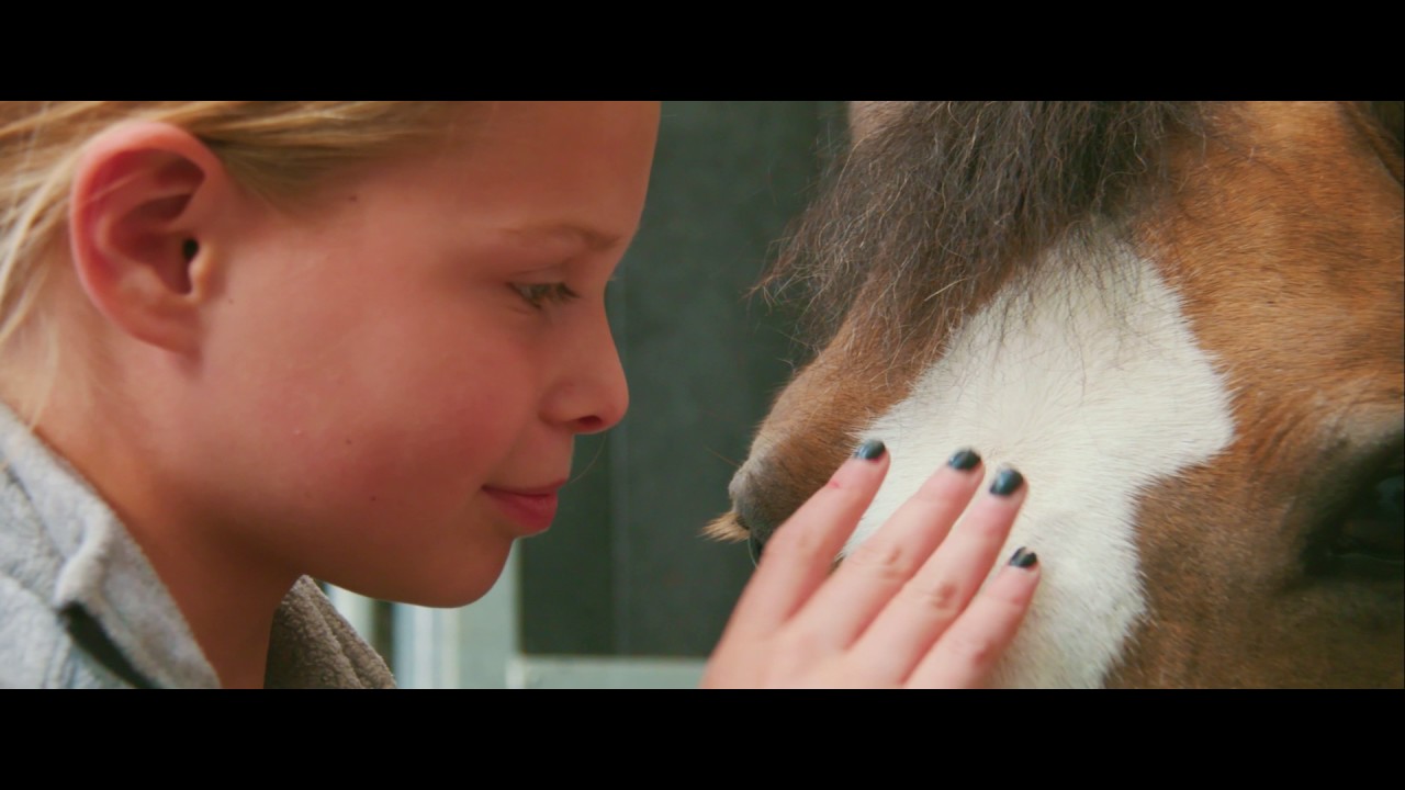 Welkom in Beekdaelen!