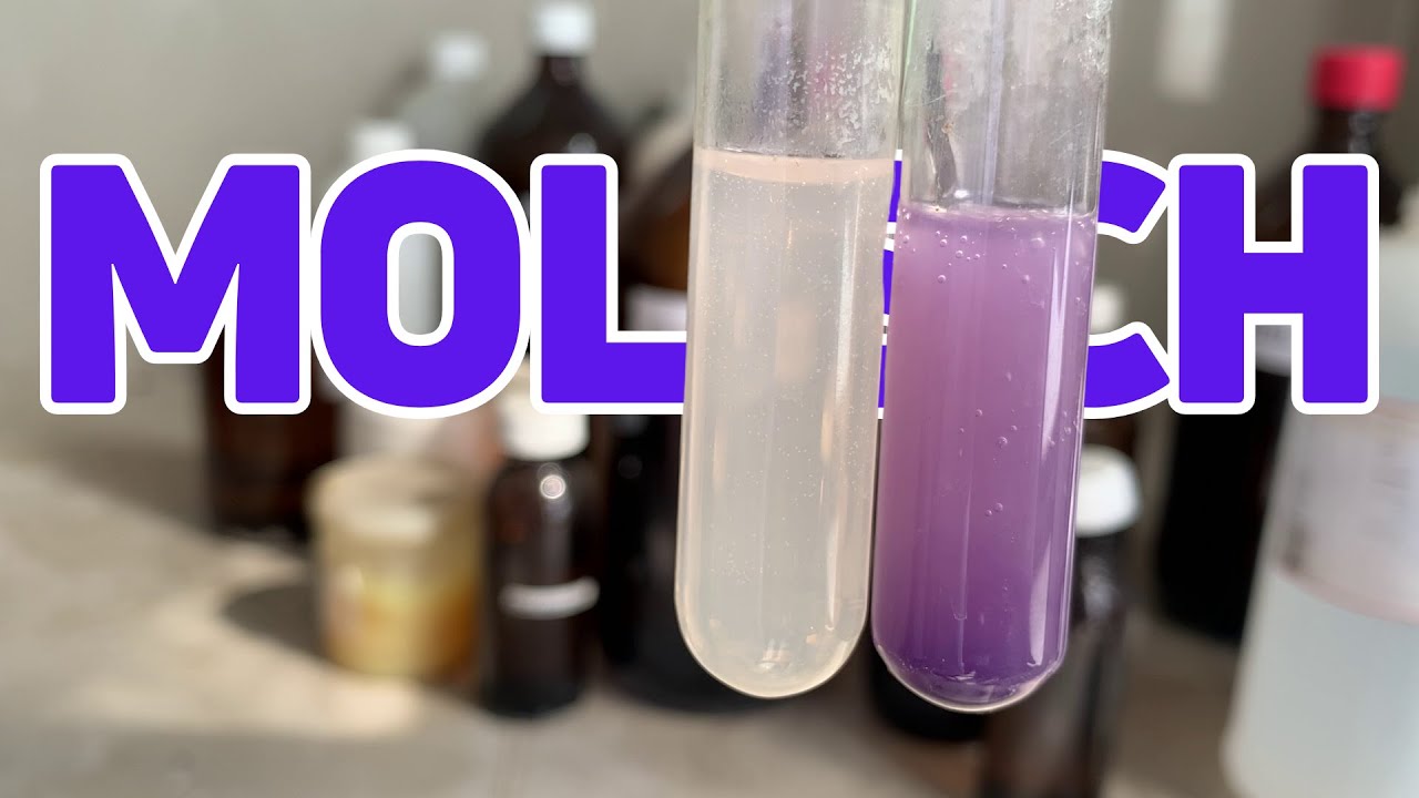 Tes Molisch pada Karbohidrat