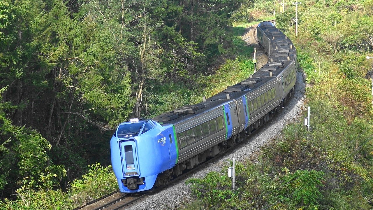秋の室蘭本線を行く特急列車・・・１０両に増結も